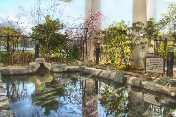 ニューサンピア埼玉おごせ