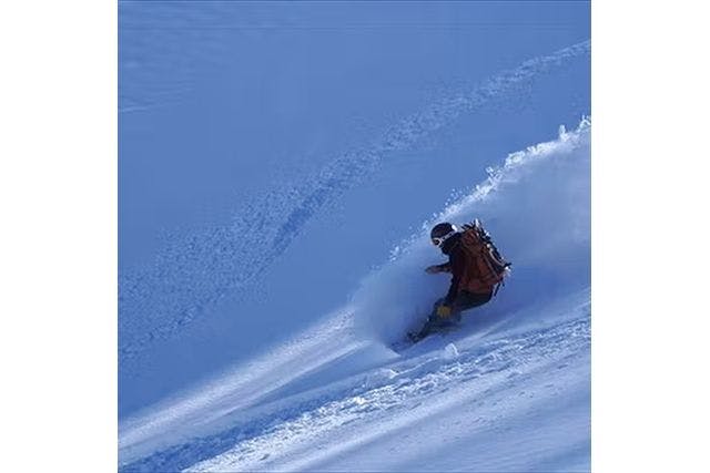 番亭　bamboo tail