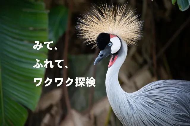Neo Park Okinawa 9% Off
