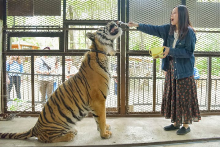 最大100円割引 ノースサファリサッポロ クーポン アソビュー