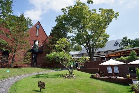 【100円割引】伊豆テディベア・ミュージアム 入館クーポン