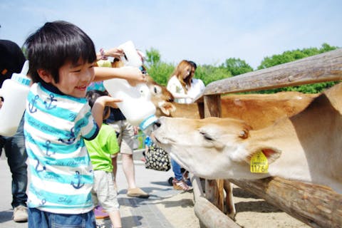 栃木 おすすめ遊園地 テーマパーク 一覧 割引クーポン情報 アソビュー