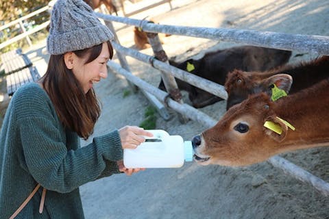 栃木県 遊園地 テーマパークの遊び体験 アソビュー 休日の便利でお得な遊び予約サイト