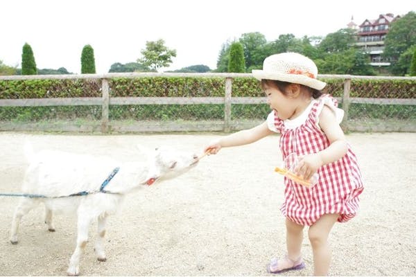 前日までの購入でお得！【最大400円割引】 エンジョイパスセット (入園