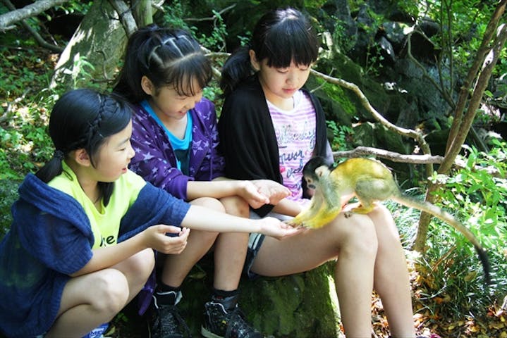 伊豆シャボテン動物公園