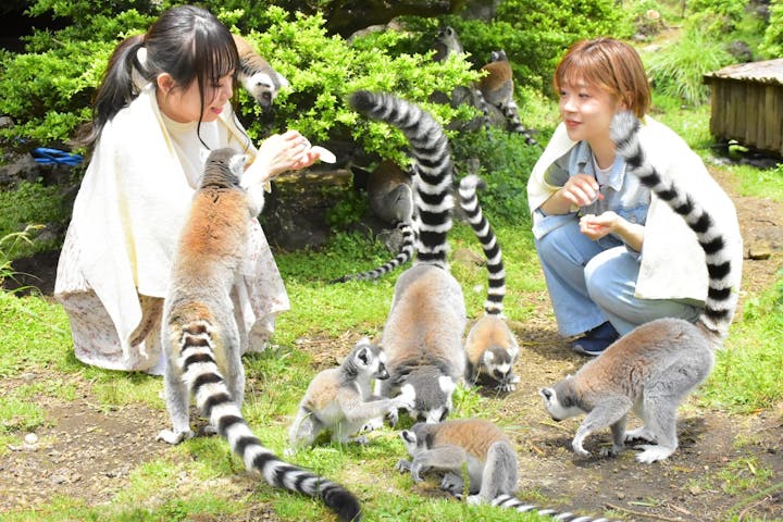 伊豆シャボテン動物公園