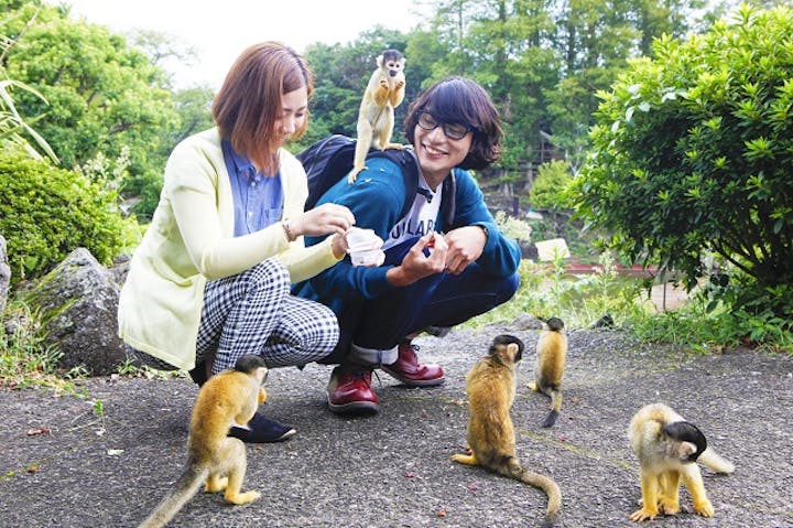 伊豆シャボテン動物公園