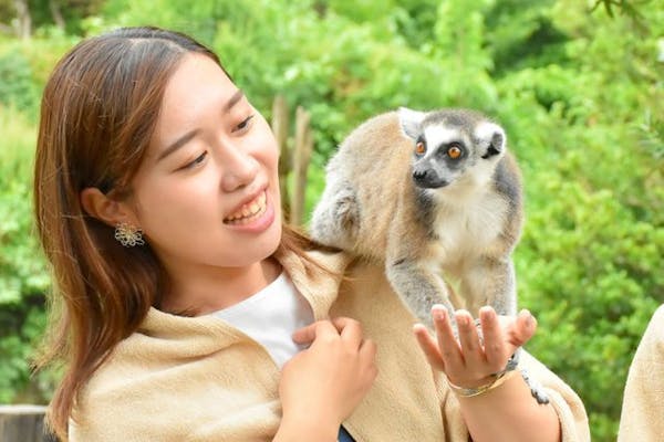 最大200円割引】伊豆シャボテン動物公園 WEBチケット｜アソビュー！