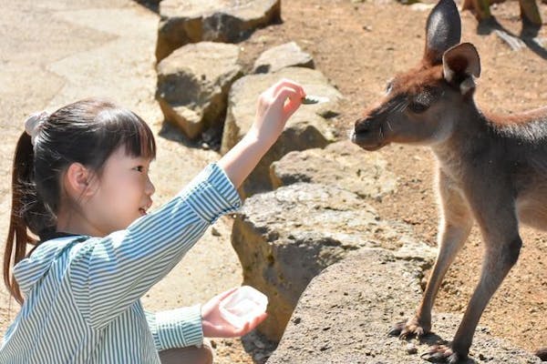 最大200円割引】伊豆シャボテン動物公園 WEBチケット｜アソビュー！