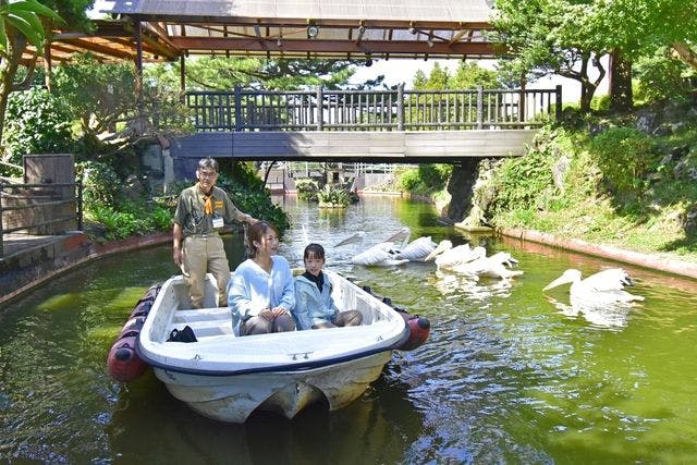 シャボテン公園チケット