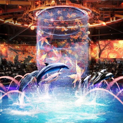 マクセル アクアパーク品川の前売りチケット・割引情報 - アソビュー! マクセル アクアパーク品川の前売りチケット・割引情報 - アソビュー!