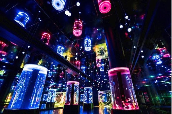 スムチケ】マクセル アクアパーク品川 WEB入場券 ｜アソビュー！