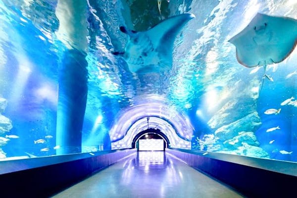 アクアパーク 11571-735-