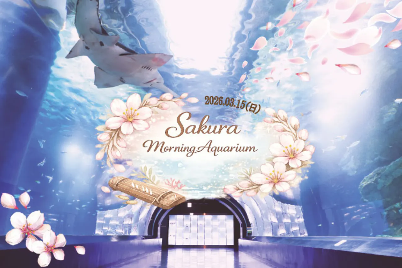 Sakura Morning Aquarium - マクセル アクアパーク品川