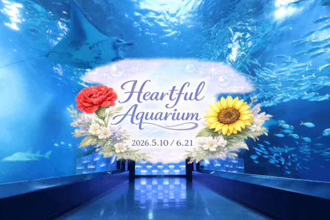 【6月21日(日)限定！】閉館後貸し切り特別ナイト】