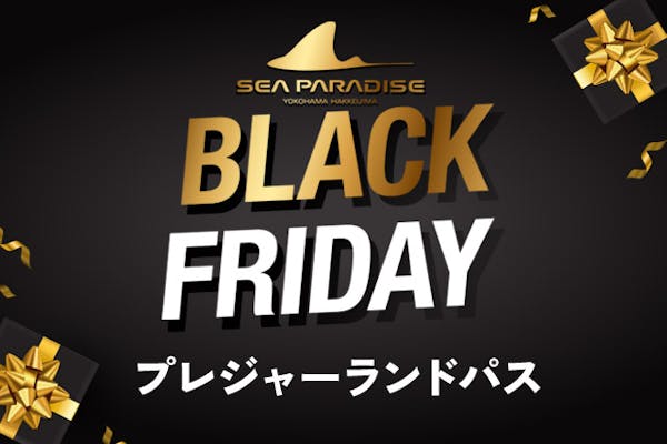 直チケ＞ブラックフライデープレジャーランドパス※各アトラクションの