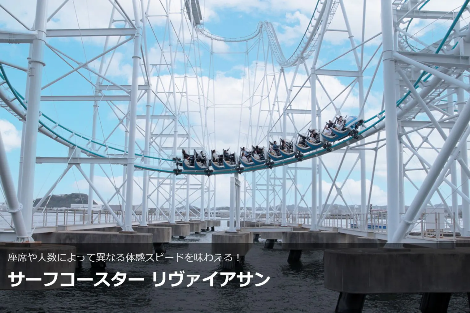 直チケ 4つの水族館の入館券とアトラクションフリーパスがセットになっ