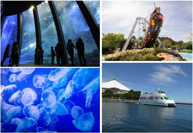 直チケ 4つの水族館の入館券とアトラクションフリーパスがセットになった「ワンデーパス」