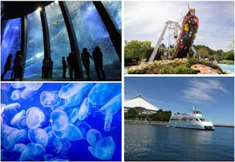 直チケ 4つの水族館の入館券とアトラクションフリーパスがセットになっ