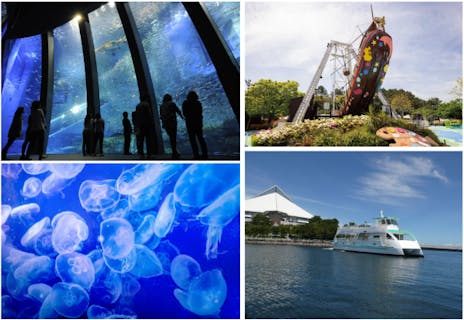 直チケ 4つの水族館の入館券とアトラクションフリーパスがセットになった「ワンデーパス」