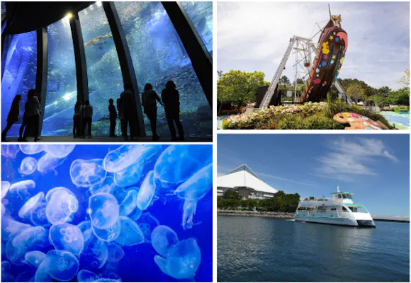 直チケ 4つの水族館の入館券とアトラクションフリーパスがセットになっ