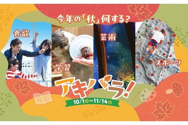 直チケ 4つの水族館の入館券とアトラクションフリーパスがセットになった「ワンデーパス」