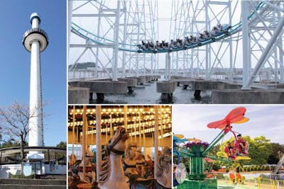 直チケ 4つの水族館の入館券とアトラクションフリーパスがセットになっ