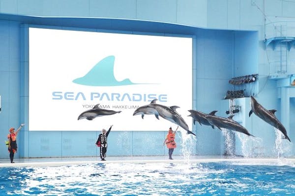 直チケ 4つの水族館の入館券とアトラクションフリーパスがセットになっ