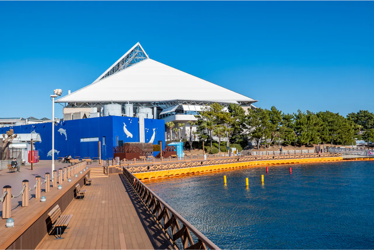 直チケ ワンデーパス※各水族館/アトラクションの入口へ直接お越し