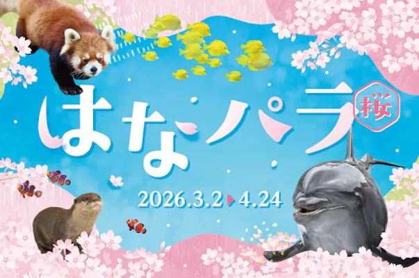 直チケ 4つの水族館の入館券とアトラクションフリーパスがセットになっ