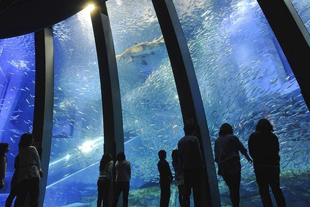 アクアリゾーツパス前売引換券＋三井アウトレットパーク 横浜ベイサイドで使える500円分お買物券★