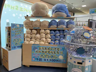 直チケ＞どうあがいてももらえるぬいぐるみくじワンデーパスセット券