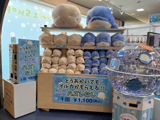 直チケ＞どうあがいてももらえるぬいぐるみくじワンデーパスセット券