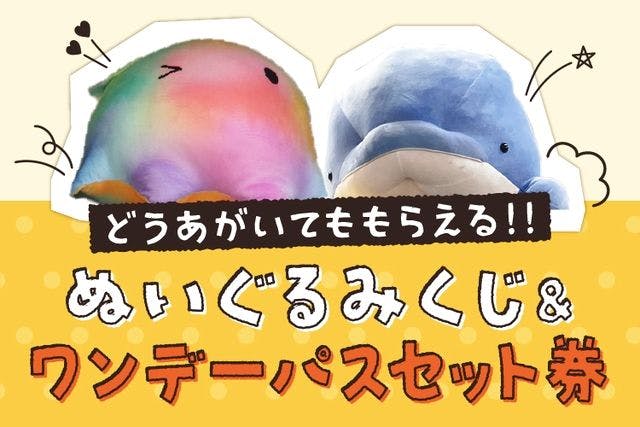 直チケ＞どうあがいてももらえるぬいぐるみくじワンデーパスセット券