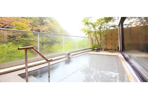 超特割！【最大9％割引】清流を臨む展望露天風呂　信玄館　日帰り入浴（2時間券）