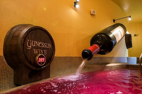 【最大1900円割引】 ユネッサン＆森の湯　15時からお得なサンセットパス【6974】