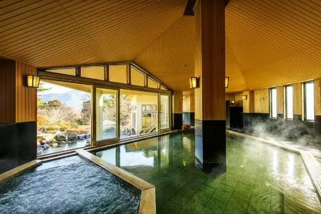 箱根小涌園ユネッサンに併設する元湯 森の湯の内湯