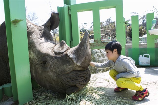 100円割引 伊豆アニマルキングダム 入園クーポン アソビュー