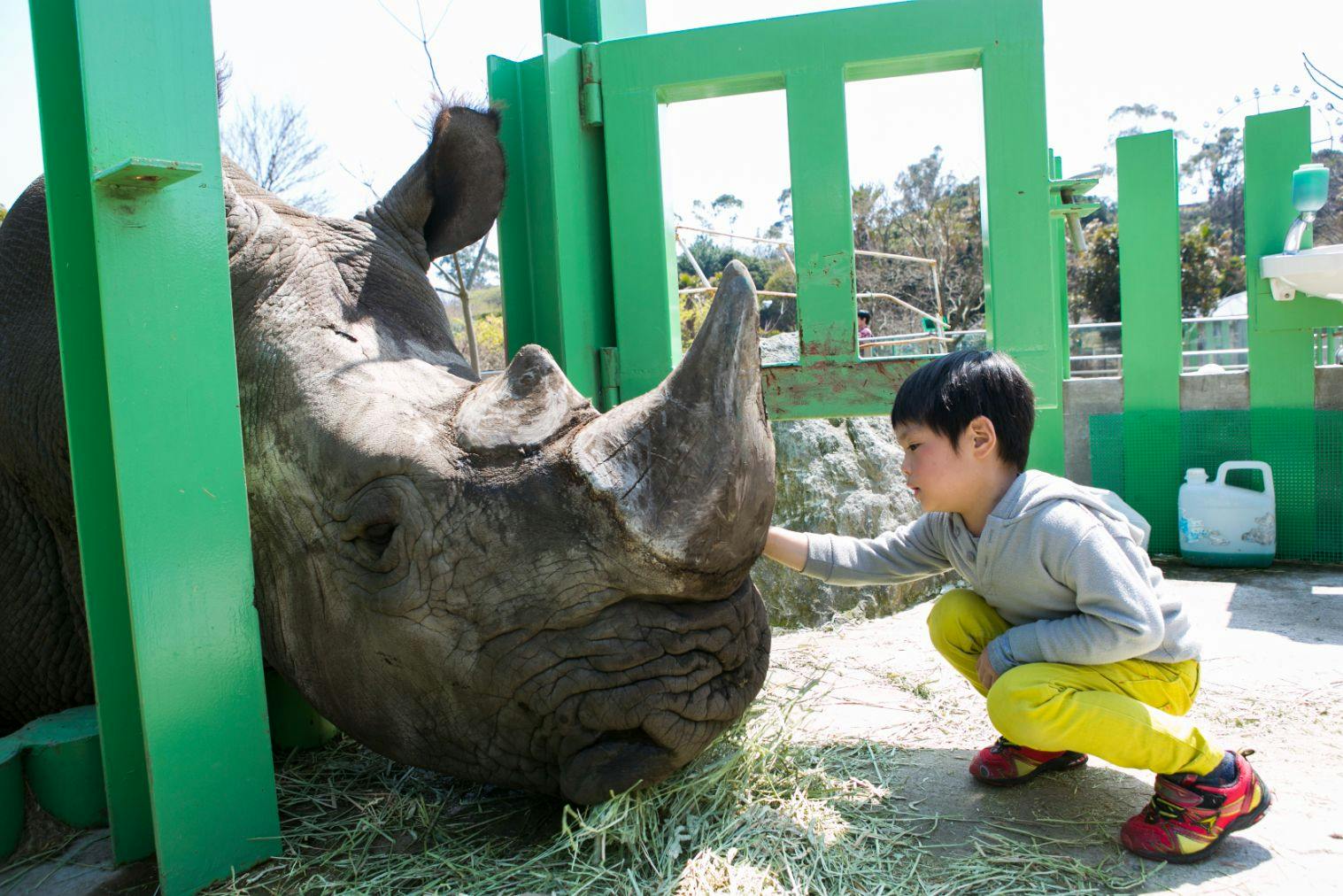 伊豆アニマルキングダム 入園クーポン - 伊豆アニマルキングダム