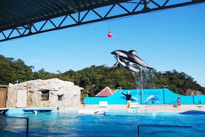 下田 海中 水族館