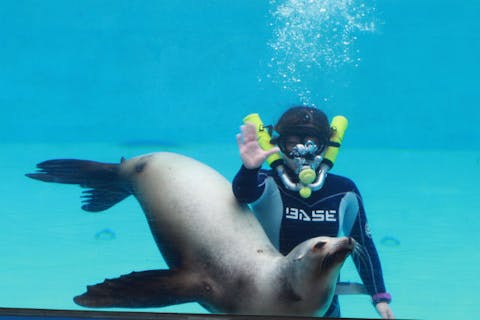 静岡 おすすめ水族館まとめ 割引クーポンも充実 アソビュー