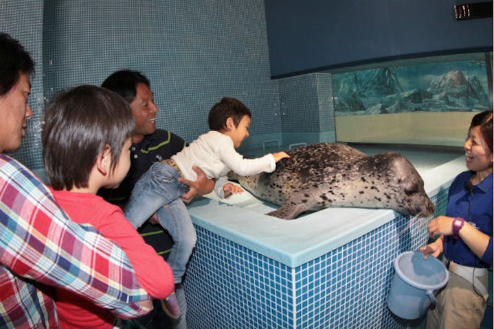 下田海中水族館