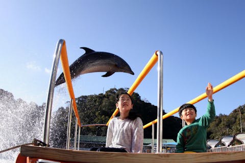 【最大200円割引】下田海中水族館 入館前売りクーポン
