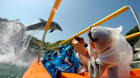 イルカショーを近くで見学できる特等席「アメージング・シート」