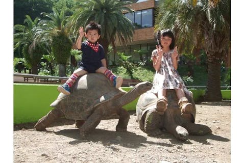 【最大200円割引】iZoo＆KawaZoo共通入園券