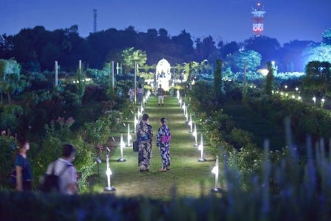 メリーゴーランド型オルゴール 遊園地 豪華絢爛 ライトアップ イルミネーション メリーゴーランド型オルゴール 遊園地 豪華絢爛 ライトアップ