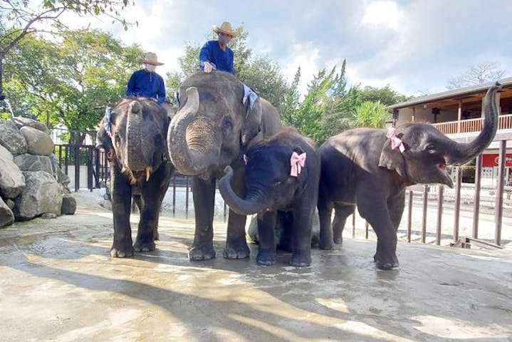 ANIMAL WONDER REZOURT 市原ぞうの国・サユリワールド