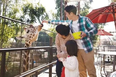 サユリワールド　前売入園券