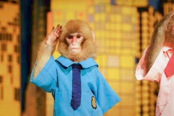 13%割引】おさるランド＆アニタウン 日光さる軍団劇場｜割引チケット