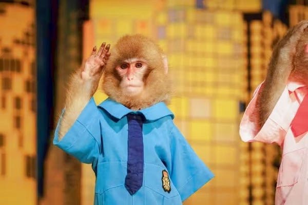 おさるやんとくまたん様☆新品☆CHANEL パース アカチャンホンポ（赤ちゃん本舗）の公式ネット通販 ｜おさるの